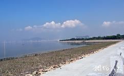 深圳紅樹林自然保護區旅遊攻略之觀海