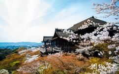 日本京都旅游攻略之清水寺