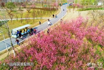 淮安白馬湖生態旅遊景區-一品梅園照片