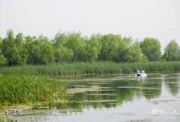 双鸭山安邦河湿地公园-湿地照片