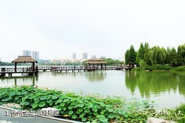 徐州金龙湖风景区照片