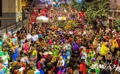 西班牙特内里费岛旅游攻略之狂欢节