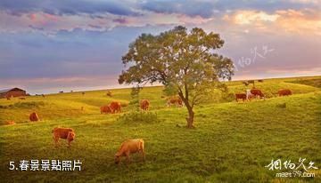 吉林龍山湖景區-春景照片