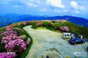 湖南阳明山国家级自然保护区-观景台照片