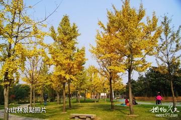 上海閔行體育公園-山林照片