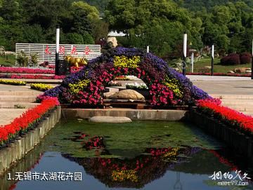 无锡市太湖花卉园照片