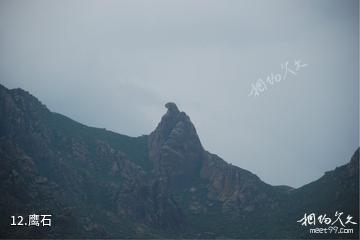 呼和浩特大青山国家级自然保护区-鹰石照片