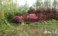 上海閔行體育公園旅遊攻略之綠化