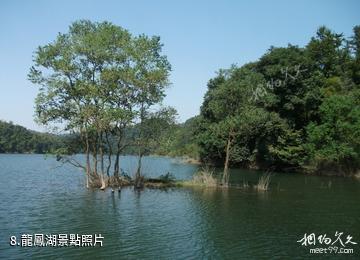 常德花岩溪-龍鳳湖照片