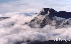山東泰山旅遊攻略之雲海玉盤