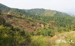 大余丫山旅游攻略之風(fēng)景