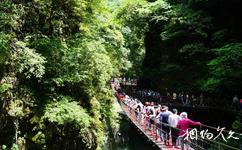 宜昌三峽大瀑布旅遊攻略之鐵索橋