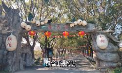 上海聯怡枇杷樂園驢友相冊