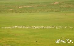 錫林郭勒盟平頂山自然旅遊攻略之俯瞰草原