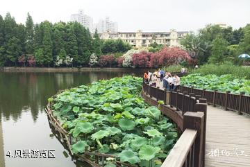 上海和平公园-风景游览区照片