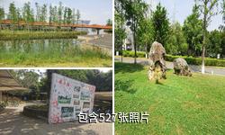 成都锦城湖湿地公园驴友相册