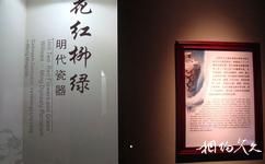 廣西壯族自治區博物館旅遊攻略之花紅柳綠