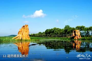 佳木斯富錦國家濕地公園-諧然橋照片