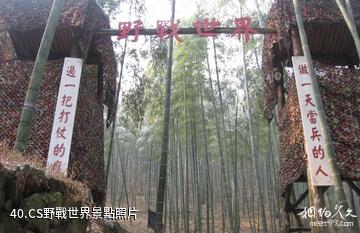 杭州東明山森林公園-CS野戰世界照片