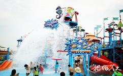 南京欢乐水魔方水上主题乐园旅游攻略之海底总动员