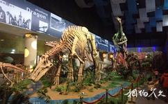 山东诸城恐龙国家地质公园旅游攻略之恐龙骨架