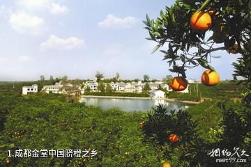 成都金堂中国脐橙之乡照片