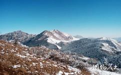 甘肃莲花山国家级自然保护区旅游攻略之雪景