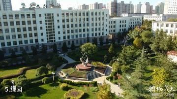 北京化工大学-绿园照片
