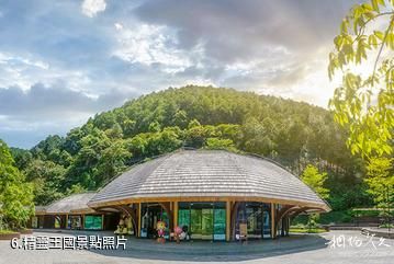 廣西高峰森林公園-精靈王國照片