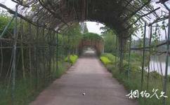 梅河口市四季生态园旅游攻略之风景