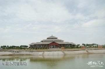 宁夏灵武白芨滩国家级自然保护区-甜水河管理站照片
