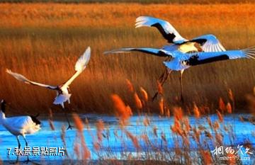 吉林龍山湖景區-秋景照片