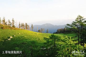 陝西長青國家級自然保護區-草甸照片