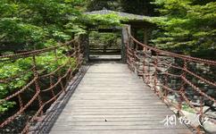 福州三叠井森林公园旅游攻略之吊桥