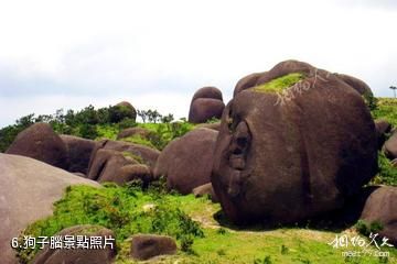 福建梅花山國家級自然保護區-狗子腦照片