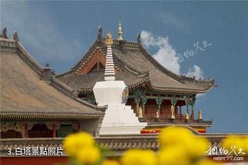 達拉特旗釋尼召沙漠綠海樂園-白塔照片