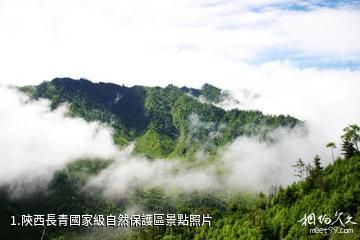 陝西長青國家級自然保護區照片