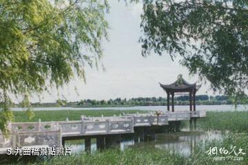齊齊哈爾水師森林公園-九曲橋照片
