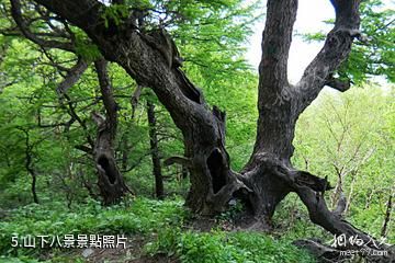 北京白草畔自然風景區-山下八景照片