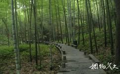 杭州西湖旅遊攻略之雲棲竹徑