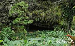 夏威夷旅遊攻略之羊齒洞穴