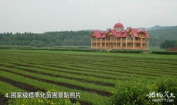 上甘嶺溪水國家森林公園-國家級標準化苗圃照片