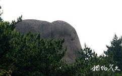 九华山旅游攻略之大象石