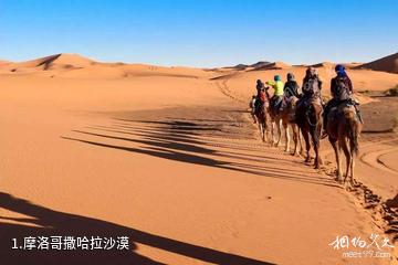 摩洛哥撒哈拉沙漠照片
