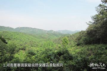 河南董寨國家級自然保護區照片