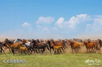 伊犁昭蘇西域天馬文化園-天馬照片