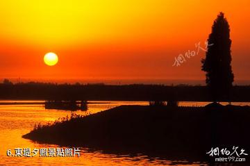銀川鳴翠湖國家濕地公園-東堤夕照照片