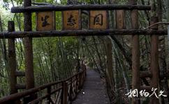 文成銅鈴山國家森林公園旅遊攻略之生態園