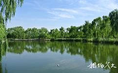 济南植物园旅游攻略之秋实湖