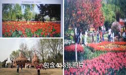 西安植物园驴友相册